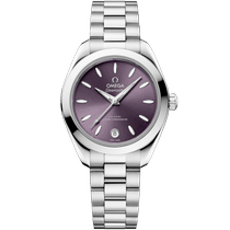 海马系列 AQUA TERRA 150米<span class="nowrap">腕表</span> 30毫米, 精钢表壳 搭配 精钢表链 - 22010302010002