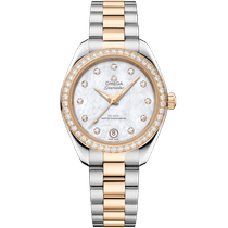 海马系列 AQUA TERRA 150米<span class="nowrap">腕表</span> 30毫米, 精钢-Moonshine 18k金 搭配 精钢-Moonshine 18k金 - 22025302055001
