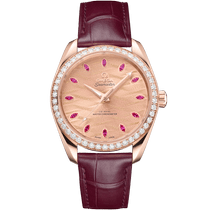 海马系列 AQUA TERRA 150米<span class="nowrap">腕表</span> 38毫米, Sedna™ 18k金表壳 搭配 皮表带 - 22058382099007