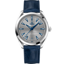 海马系列 AQUA TERRA 150米<span class="nowrap">腕表</span> 41毫米, 精钢表壳 搭配 皮表带 - 22013412106001