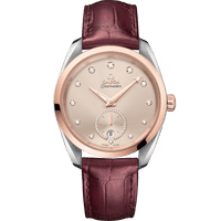 海马系列 AQUA TERRA 150米<span class="nowrap">腕表</span> 38毫米, 精钢-Sedna™ 18k金表壳 搭配 皮表带 - 22023382059001