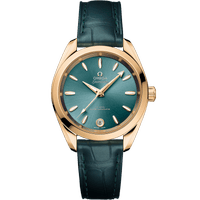 海马系列AQUA TERRA SHADES<span class="nowrap">腕表</span> 34毫米, Moonshine 18k金表壳 搭配 皮表带 - 22053342010001